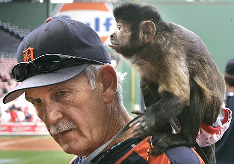 leyland-and-the-monkey-on-his-back.jpg