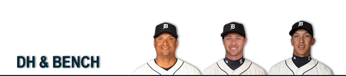 tigers-dh-bench