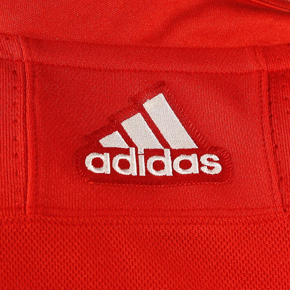 Pavel Datsyuk Detroit Red Wings Adidas Authentic Jersey (White)