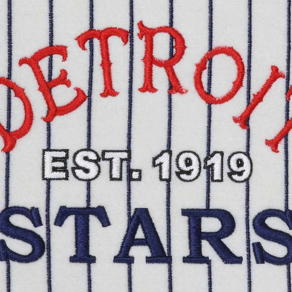 Detroit Stars Heritage Banner - Vintage Detroit Collection