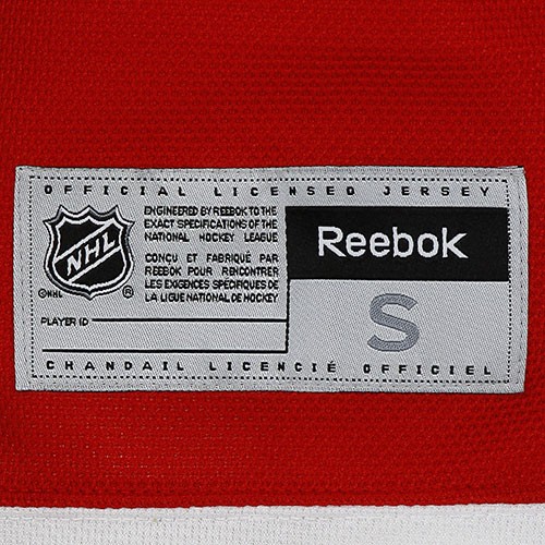 NHL DETROIT RED WINGS Men's S Embroidered Team Logo Hockey Jersey
