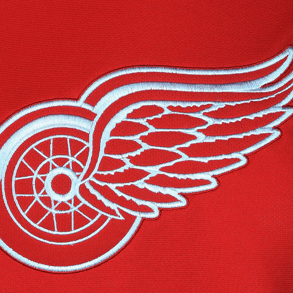 Detroit Red Wings Expansion Draft T-Shirt - Vintage Detroit Collection