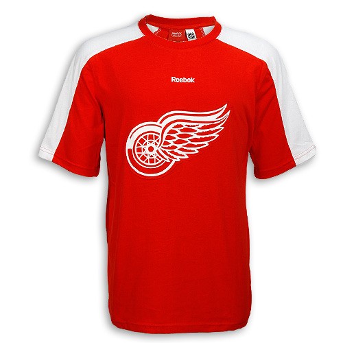 Detroit Red Wings Men's Embroidered Team Jersey 