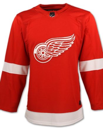 Vintage 90s Detroit Red Wings NHL Alternate Hockey Jersey Red/Black Youth  Sz XL | SidelineSwap