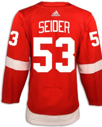 NHL Detroit Red Wings 2020-21 uniform and jersey original art – Heritage  Sports Art