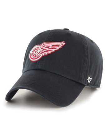 Detroit Red Wings - Moritz Seider Sticks Gray NHL T-Shirt :: FansMania