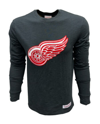 NHL Detroit Red Wings Men's Charcoal Long Sleeve T-Shirt - S